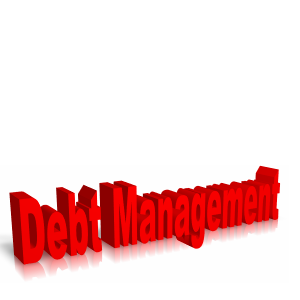 What Is Debt Management?